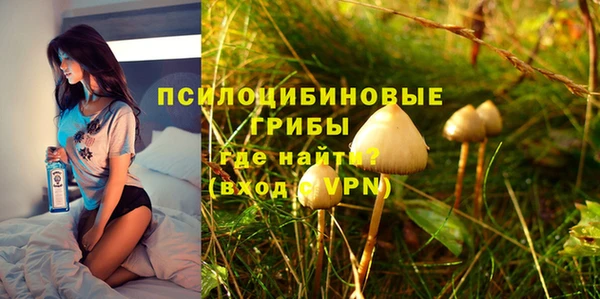 стаф Балахна