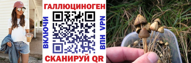 хочу наркоту  Торопец  мега ТОР  Псилоцибиновые грибы MAGIC MUSHROOMS 